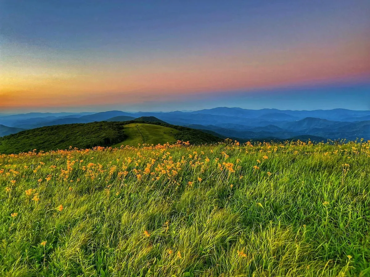 Rolling hills blanketed with vibrant wildflowers lead to distant blue mountains under a colorful sky. The setting suggests easy access to scenic hiking and open spaces for families to explore and photograph together.